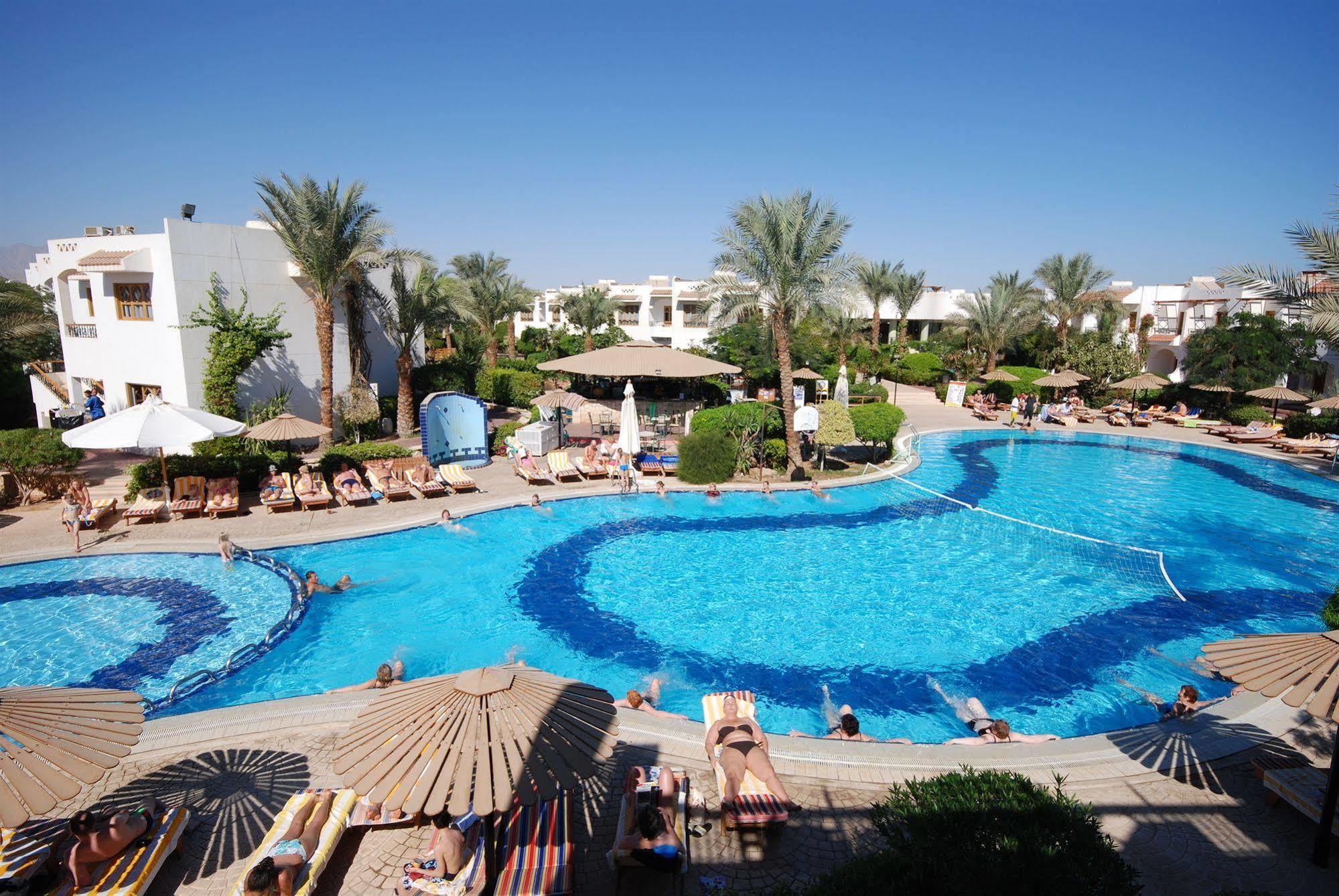 Dive 3* Sharm El-Sheikh